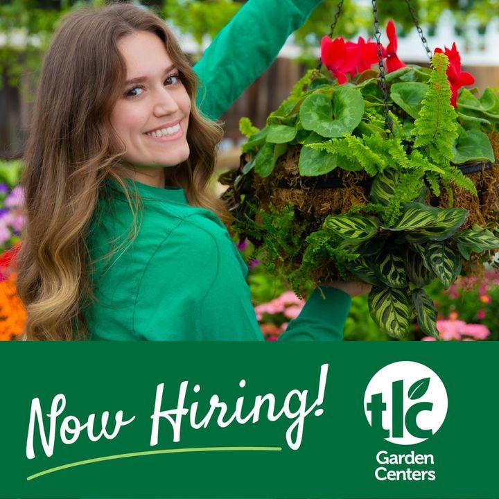 TLCGarden1's tweet photo. 🌿✨ Grow Your Career with TLC! 🌱

Love plants, people, and working outdoors? TLC Garden Centers is hiring for spring and summer! 

📍 Learn more &amp; apply online: https://t.co/lAtk4CdNWV

#TLCGarden #NowHiring #GrowWithUs #SpringJobs #GardenCareers #ShopLocalOKC https://t.co/YU3XYadzeD
