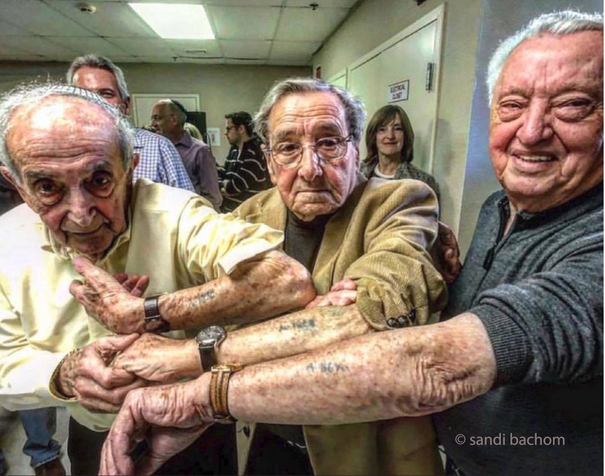 🔥🔥🔥The Holocaust didn’t start with the ovens. 

It started with dragging my 3 friends out of their homes and thrown in Auschwitz because they were little Jewish boys. 

It began by erasing history. It began by telling the big lie over and over until it was truth.