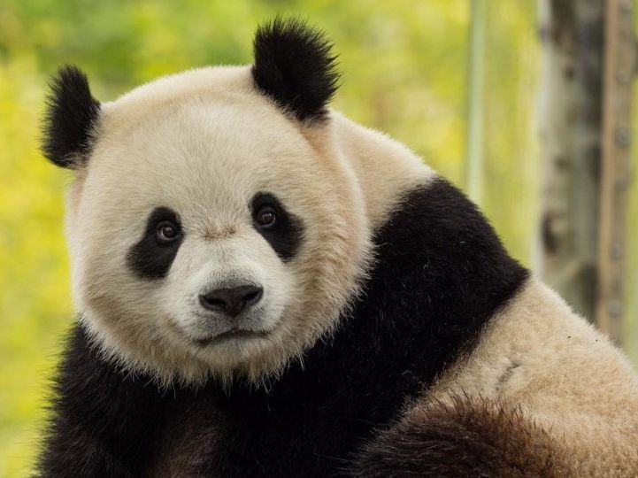 Teach&TravelMagazine tweet media