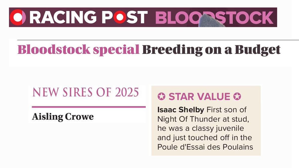 newsellspark's tweet photo. Big things ahead for these Star Value sires! 🌟
📢 Featured in @rpbloodstock Breeding On A Budget supplement
🚀 A’ALI – First 2yos set to take-off! | £5,000
⚡️ ISAAC SHELBY – New for 2025 | £7,000
#BringOn2025 #ValueSires https://t.co/8upX3l1qq7