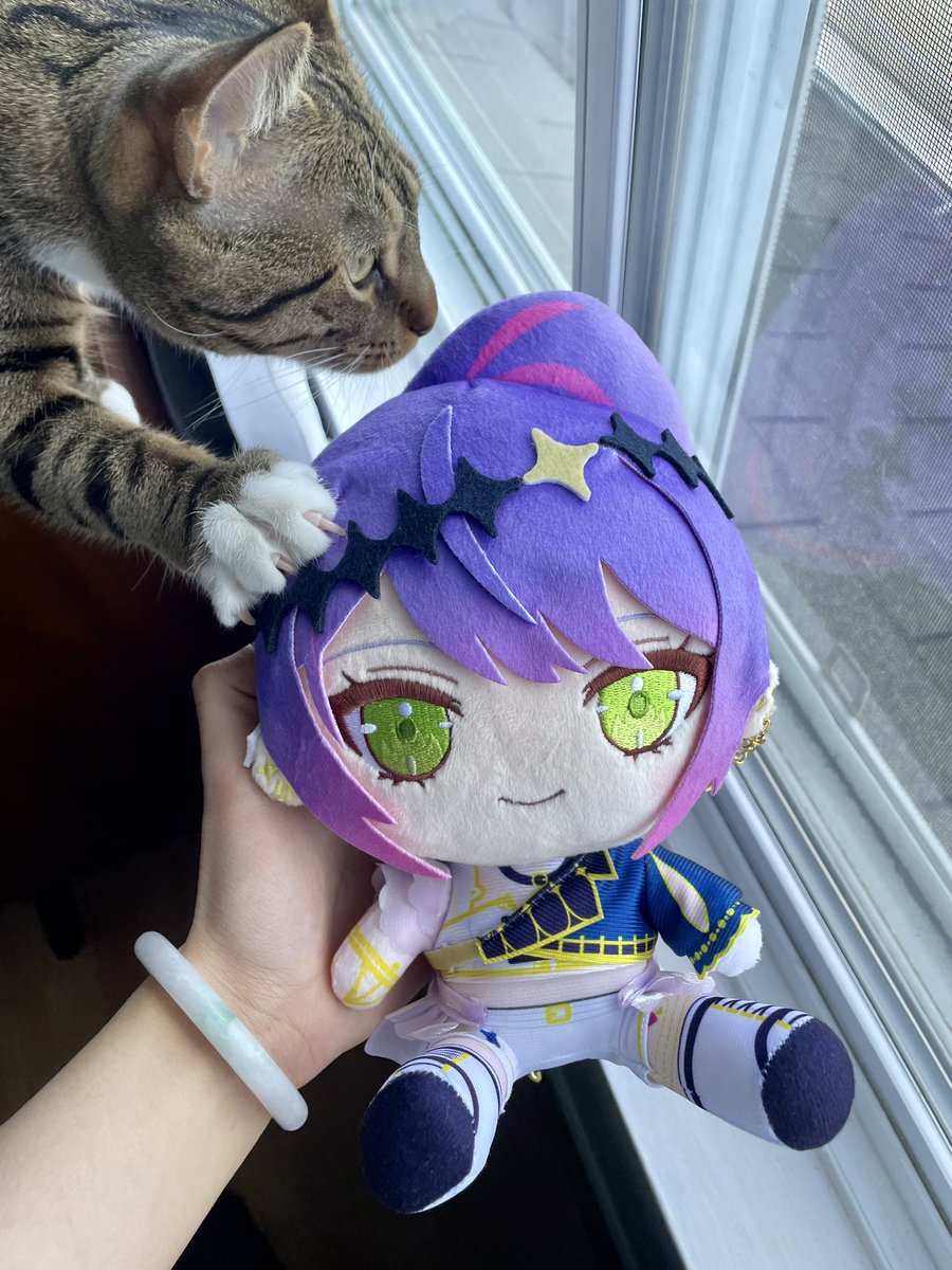 venavandervelt's tweet photo. Towa plushie is here!!!!

I think Tutu likes herrrr 💜💜💜 https://t.co/rgsKAwgBQ1