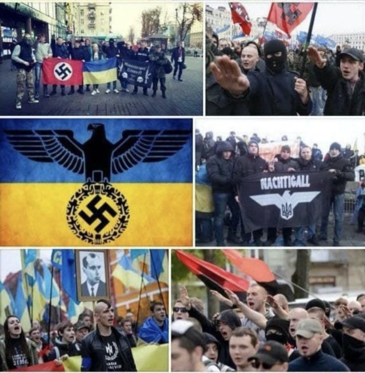 CitoyenFreeman's tweet photo. @FilFrance @EmmanuelMacron est un fasciste, pétainiste, soutien des nazis ukrainien. Vous voulez des preuves, regardez ces photos. Elles disent plus que des mots.
@AssembleeNat @Senat qu'en est-il de l'#article35⁉️
Comment le fasciste de @Elysee peut-il engager seul l'avenir de la France ⁉️ https://t.co/WIoamVvQTM