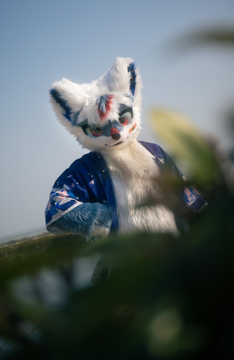 青苹果 tweet media