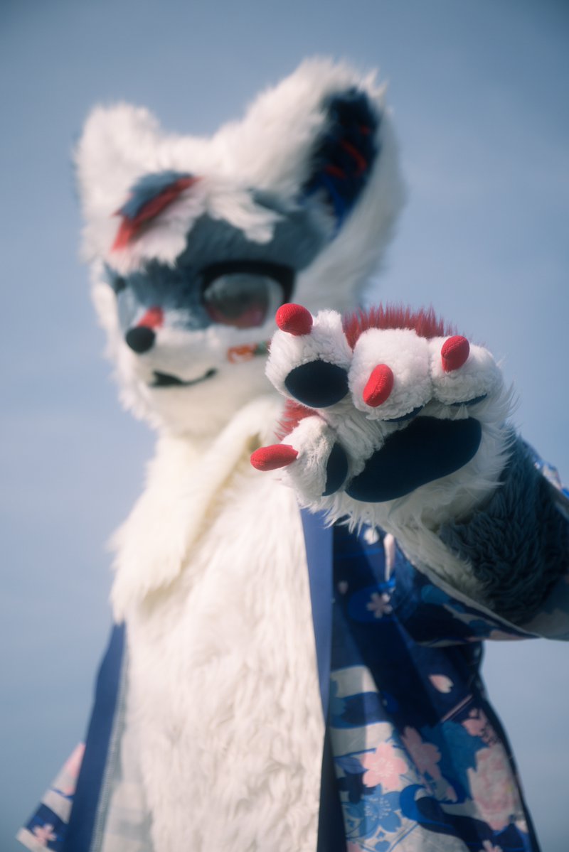 青苹果 tweet media