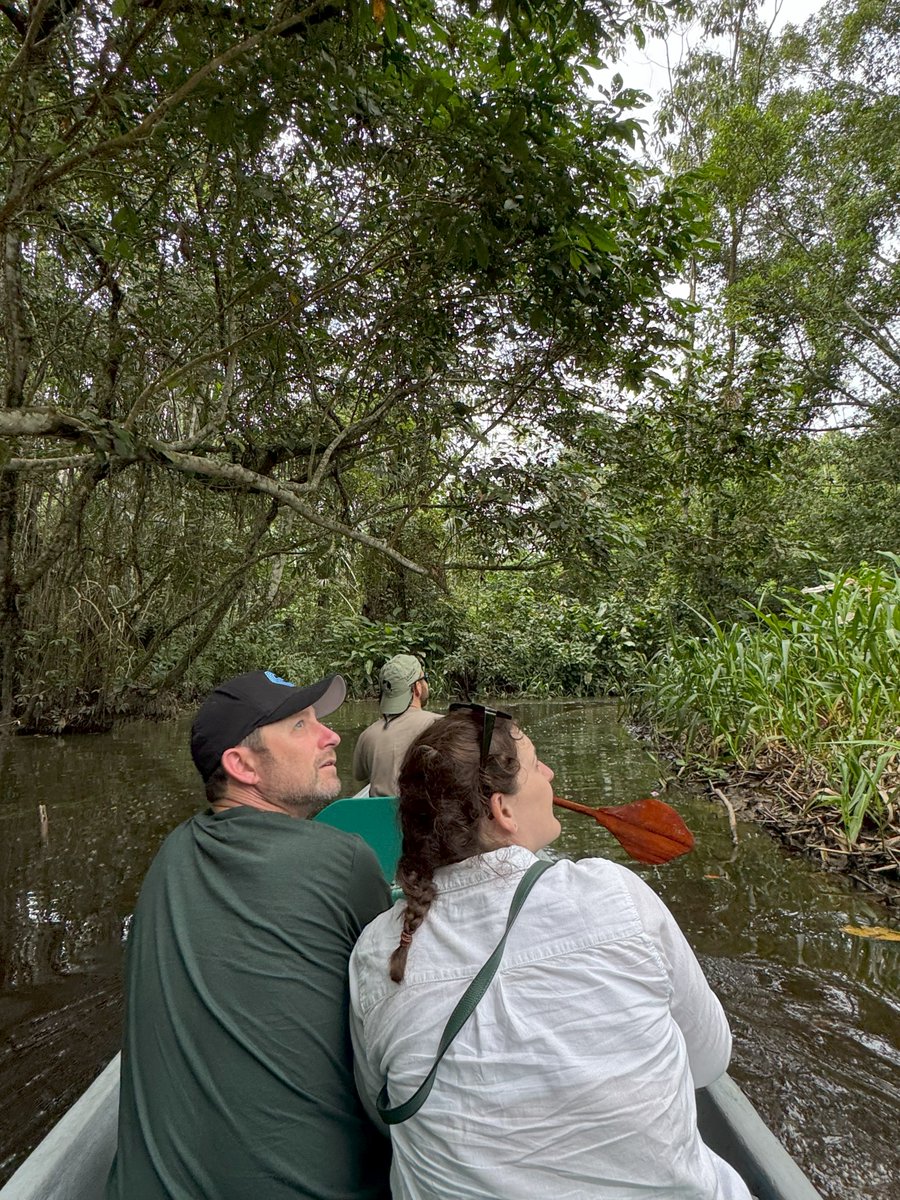 selvalodge's tweet photo. Amazon Insights to Share with Your Travelers

✅  The Amazon rainforest is home to over 25% of the world’s medicinal plants.  
✅ Two-Lake Reserve 
✅ A Birdwatcher’s Paradise – With over 600 bird species
✅ Monkey Haven – La Selva is home to over 5 species of monkeys https://t.co/MIjRyhod2t