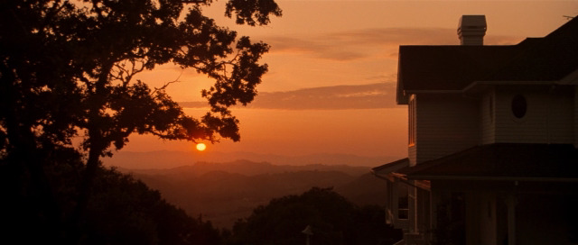 cinesthetic. tweet media