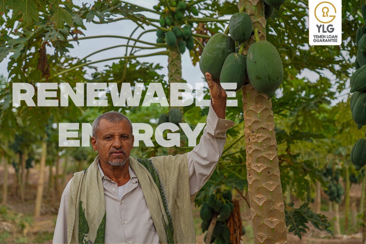 YLGprogram's tweet photo. From agriculture to industry, #RenewableEnergy is behind the success and resilience of countless businesses in Yemen!

So far, we’ve supported 861 businesses from agricultural, livestock, commercial, industrial and service sectors in accessing #GreenFunding. Enabling them to reduce costs and carbon footprints!👣

At #YLG, we’re committed to creating a sustainable, bright future for generations to come! 🌍💚
#GreenFinance #ClimateAction #RenewableEnergy