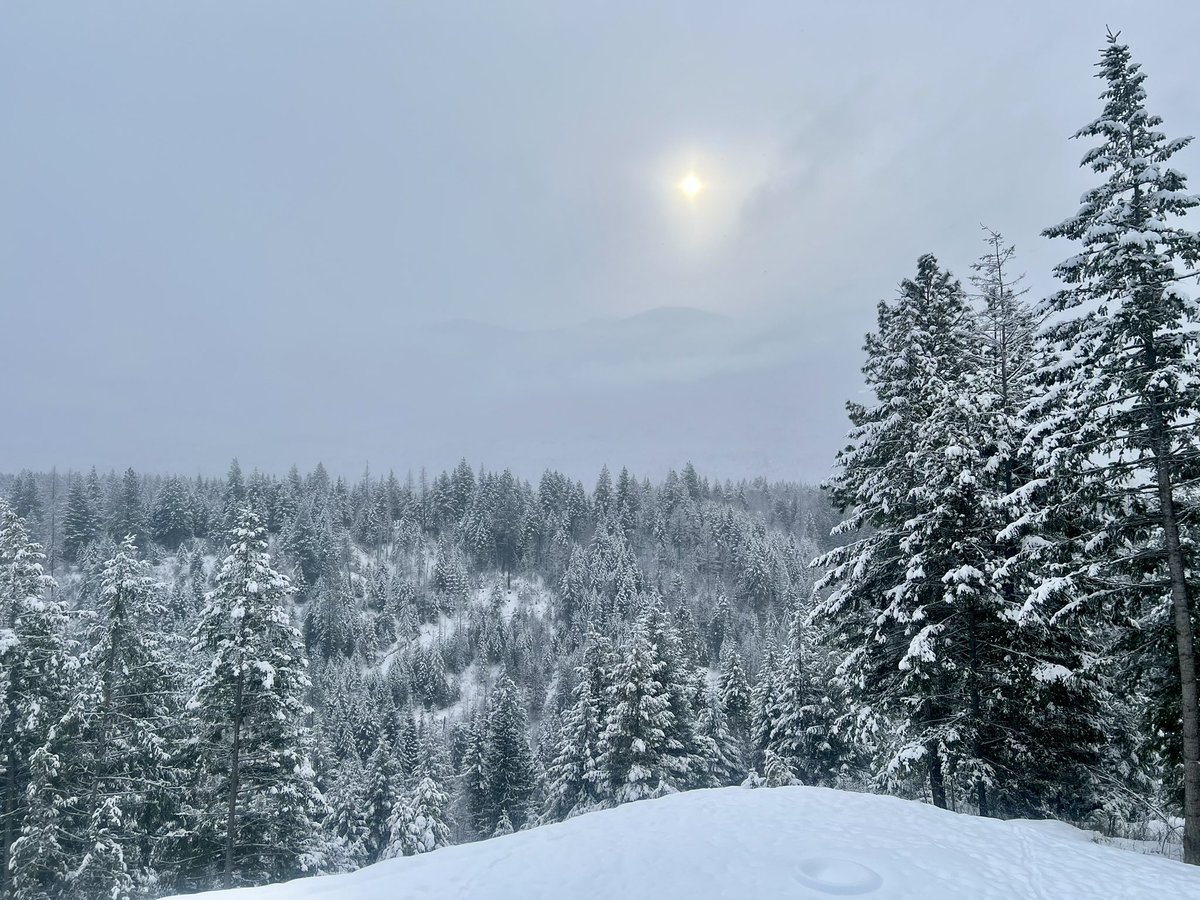 Winter wants to hang around a bit longer. Small town America is alive and well 🇺🇸. Be safe !