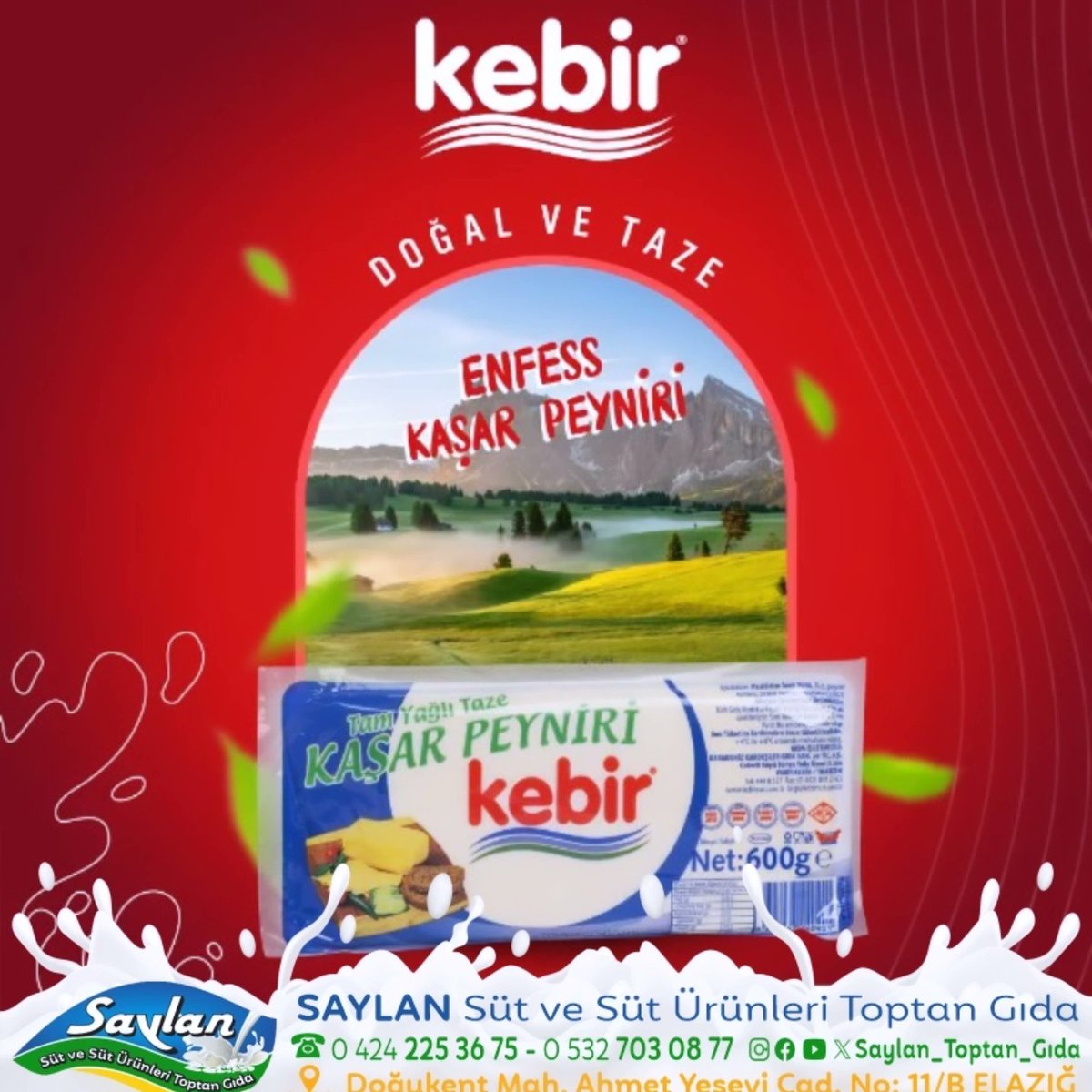 SAYLAN SÜT VE SÜT ÜRÜNLERİ TOPTAN GIDA

☎ 0 424 225 36 75 - 0 532 703 08 77
👉 Salıbaba Mah. Yaşar Doğu Cad. No:32 ELAZIĞ

#süt #peynir #cecilpeynir #dilpeyniri #salamurapeynir #örgüperde #kebir #akbulut #seyidoğlu #terayağ #kaymak #yoğurt #bal #karakovan #petekbal #süzmebal