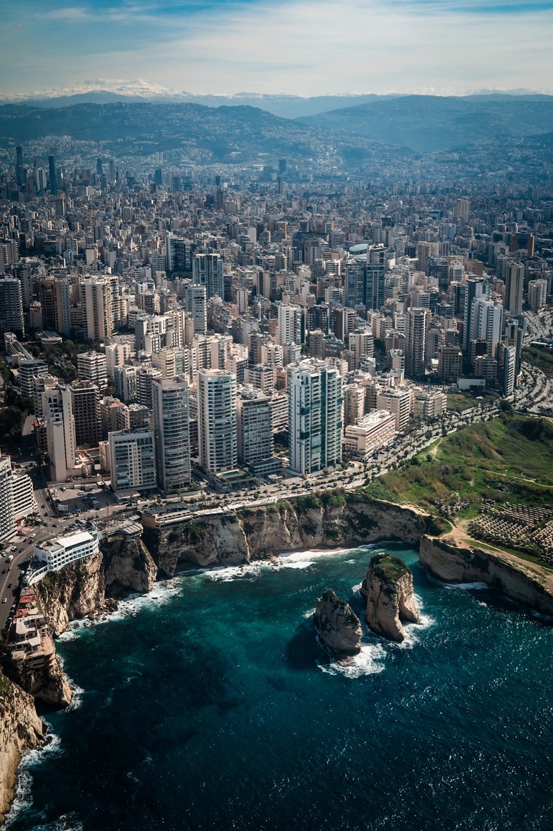 Ayman Hariri tweet media