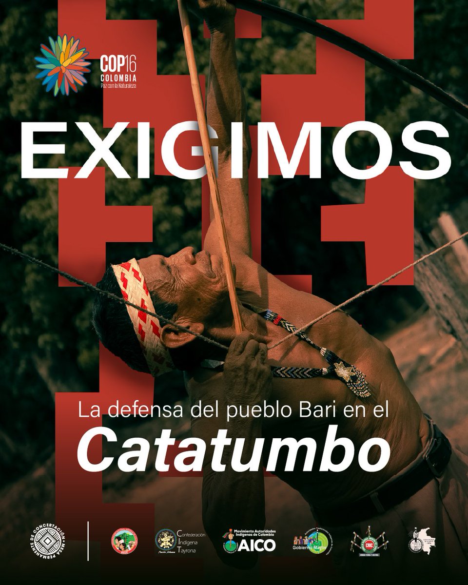 Desde la <a href="/ONIC_Colombia/">Organización Nacional Indígena de Colombia - ONIC</a> y la <a href="/MPCindigena/">Mesa Permanente de Concertación Indígena - MPC</a> rechazamos la violencia y los enfrentamientos armados que amenazan la vida y el territorio del pueblo Barí en el Catatumbo.

Hacemos un llamado al Gobierno Nacional y a la comunidad internacional para proteger sus derechos y atender las