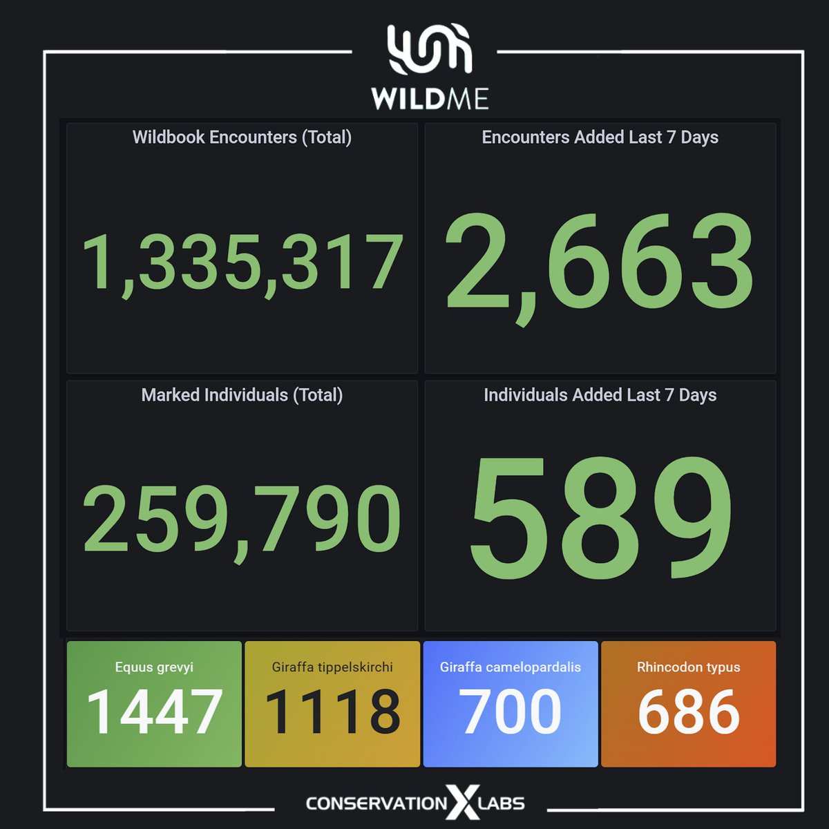 Zebras, whale sharks, and lots of giraffe! Data growth across Wildbook species and users remains strong in 2025. This past week's uploads are no exception, and we added new species support for dwarf (Kogia sima) and pygmy sperm whales (Kogia breviceps) in Flukebook.org.