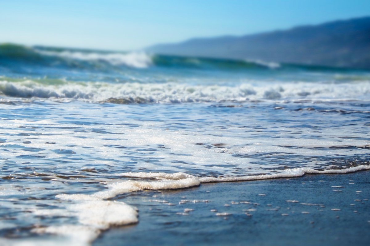 LCullenStudio's tweet photo. Here are two photos that I contributed as part of the @artprintsla fire fundraiser.

“Point Dume Vista” and “Zuma’s Ebb and Flow” are available as 11x14” prints. 

To support LA’s recovery, check out more art from the community.

Link: https://t.co/bizzGSrRHI https://t.co/lqDQqQO2fV