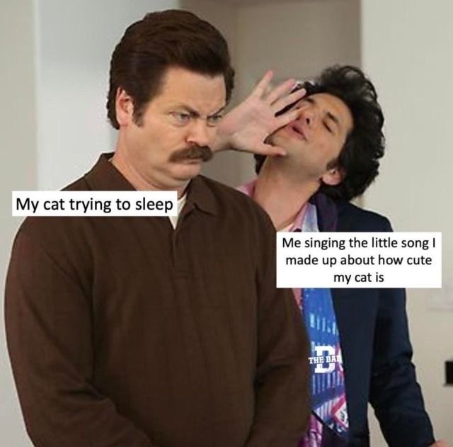 WholesomeMemes tweet media