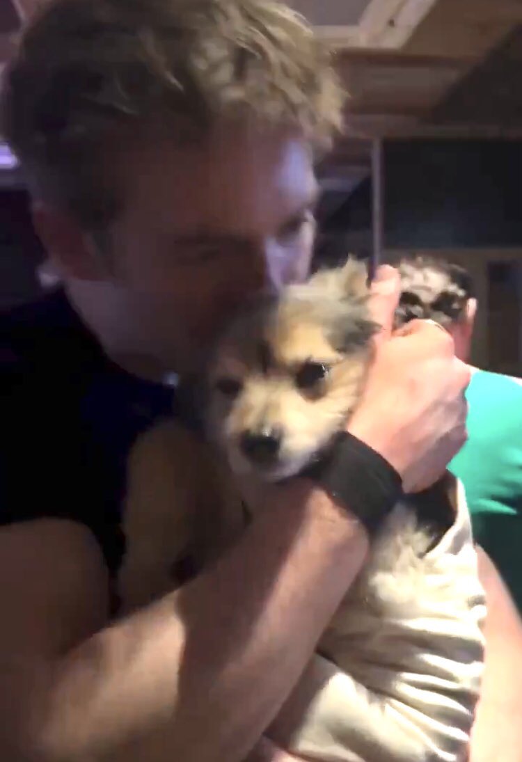 gaby 🍂 tweet media