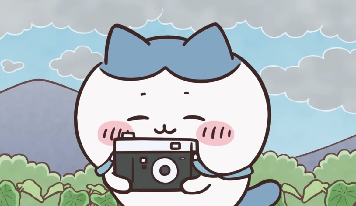 jaeiii's tweet photo. 공시타래(=^x^=) https://t.co/nZzLoV5daJ