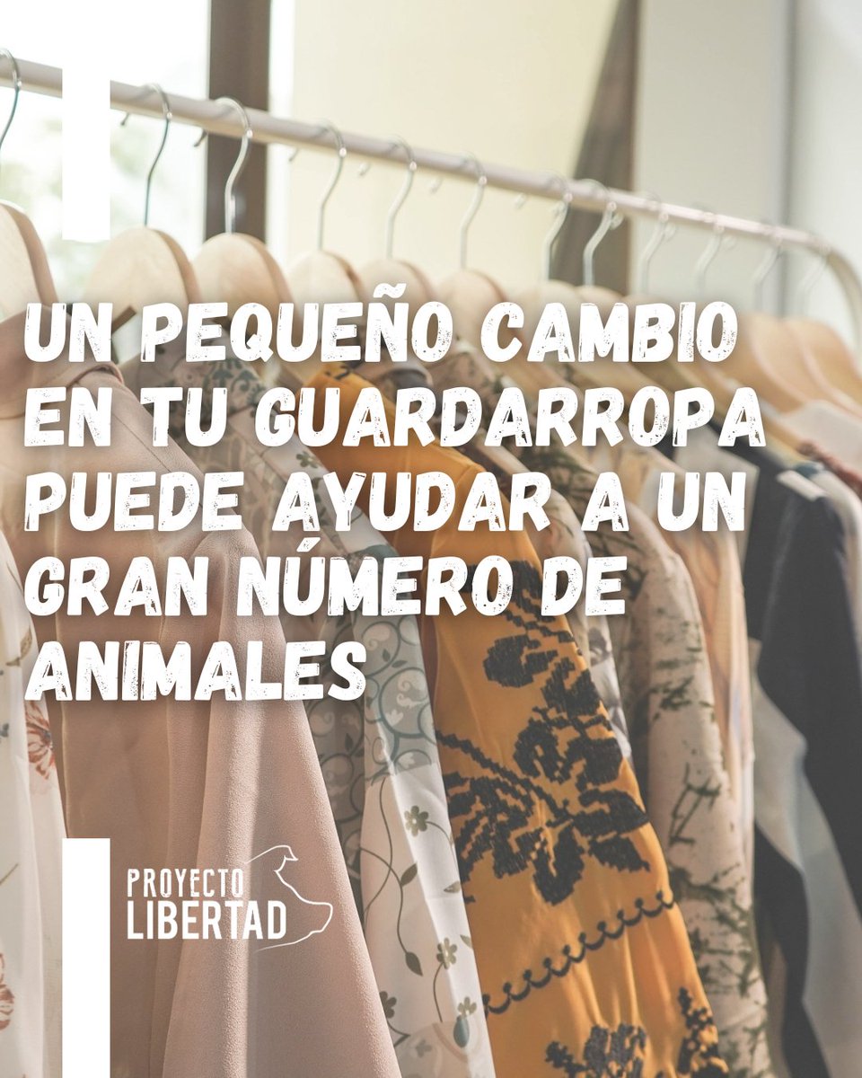 Un pequeño cambio en tu closet puede ayudar a un gran número de animales. Usar cuero o lana solo mantiene una espiral de sufrimiento animal.
¿Cuánto te falta para que todo tu armario sea amigable con los animales?