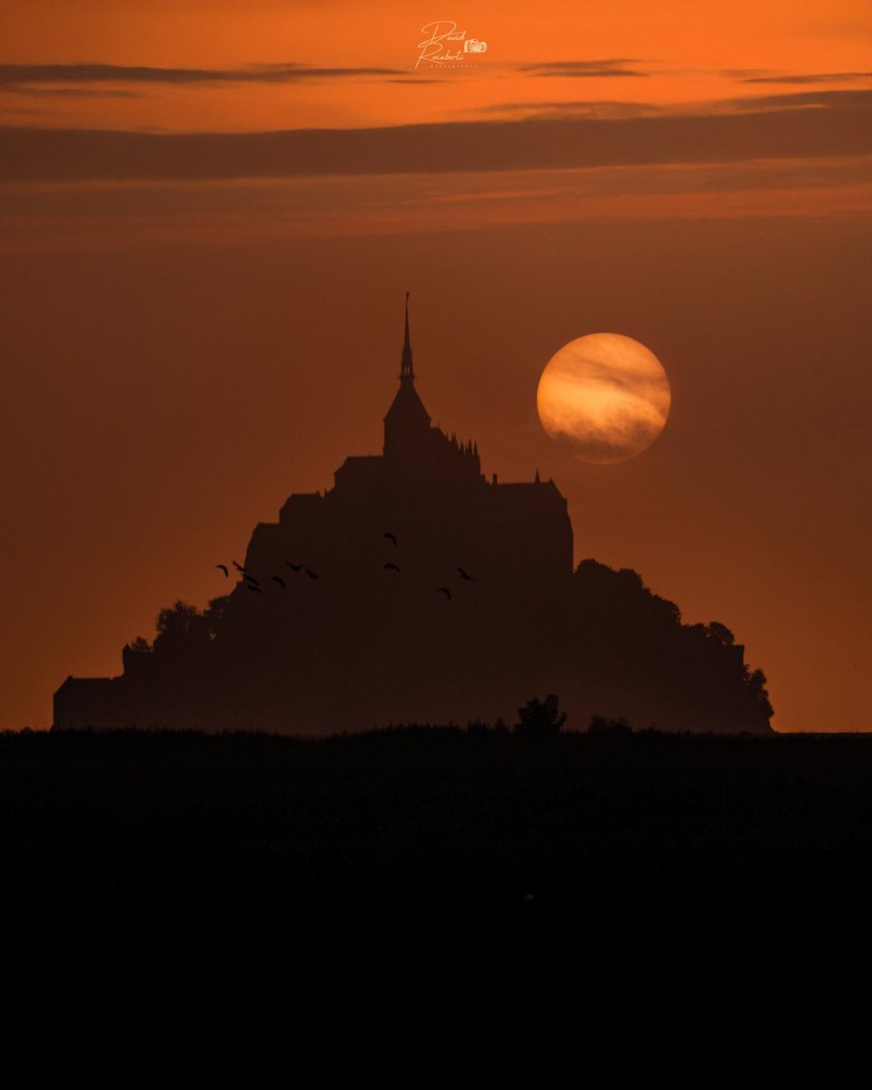 David Rocaberti tweet media