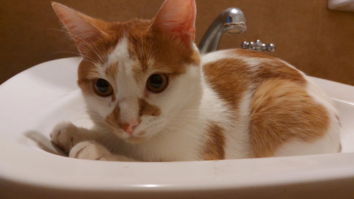 Manu🕳 tweet media