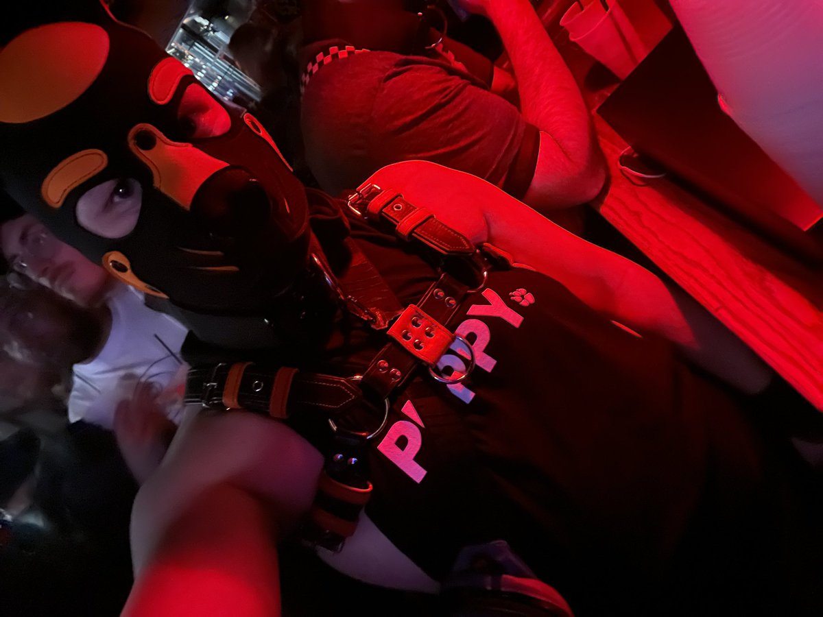 Fuck Puppy tweet media