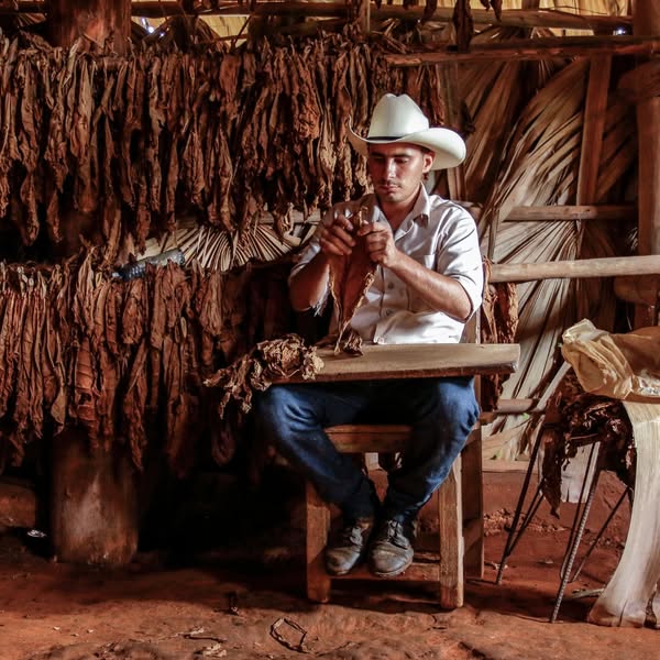 Pinartravel's tweet photo. Viñales ha sido incluido en la lista de "los pueblos pequeños más bonitos del mundo". Nominado por sus impresionantes paisajes y campos de tabaco bien cuidados, es el lugar perfecto para sumergirte en la naturaleza. #TravelCuba #ExploreCuba #TravelGoals #Wanderlust #Viñales https://t.co/Podd9jSBq6