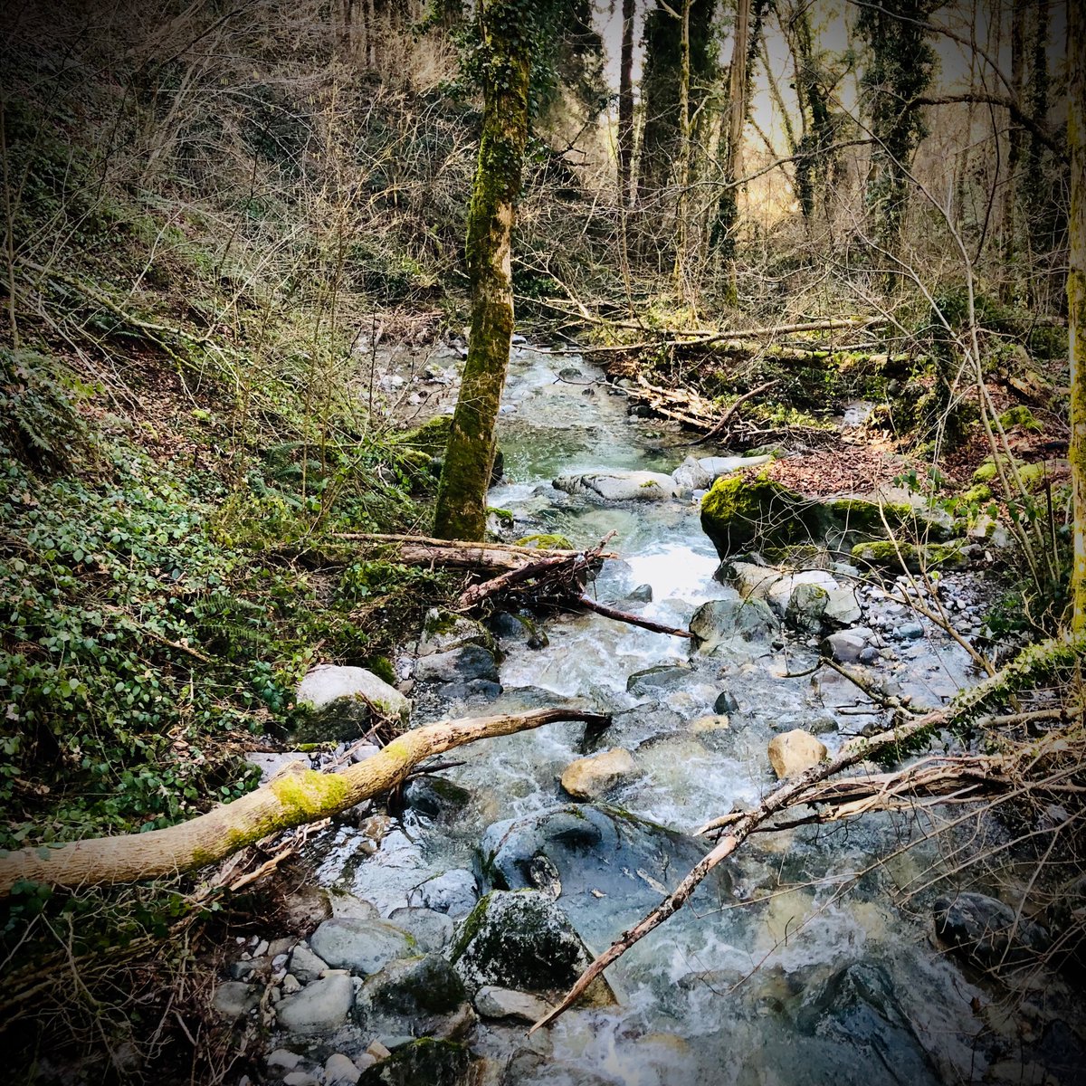 Les gorges du Maravant (et ses moulins fantômes), l’un des secrets les mieux gardés du Chablais.
