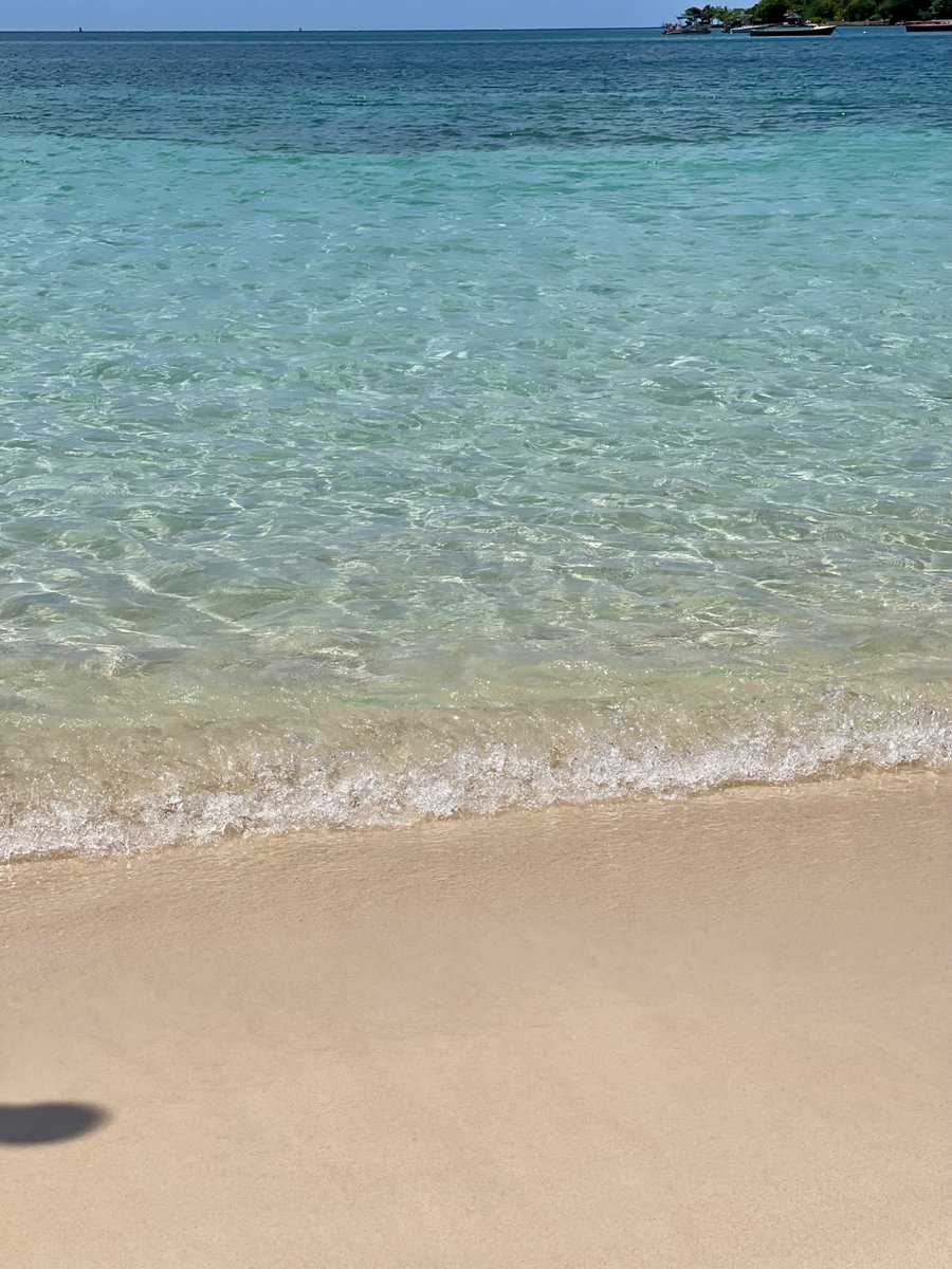 Neil Nunes tweet media