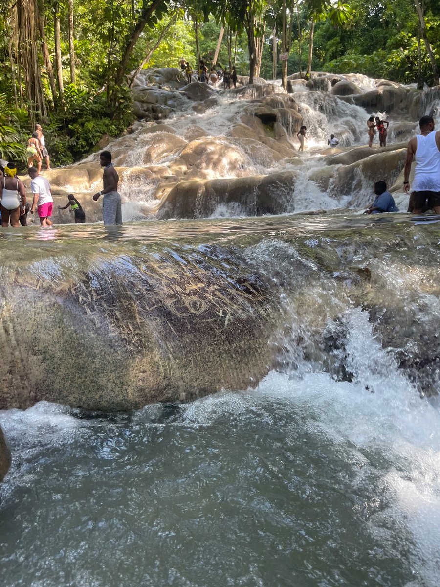 Neil Nunes tweet media