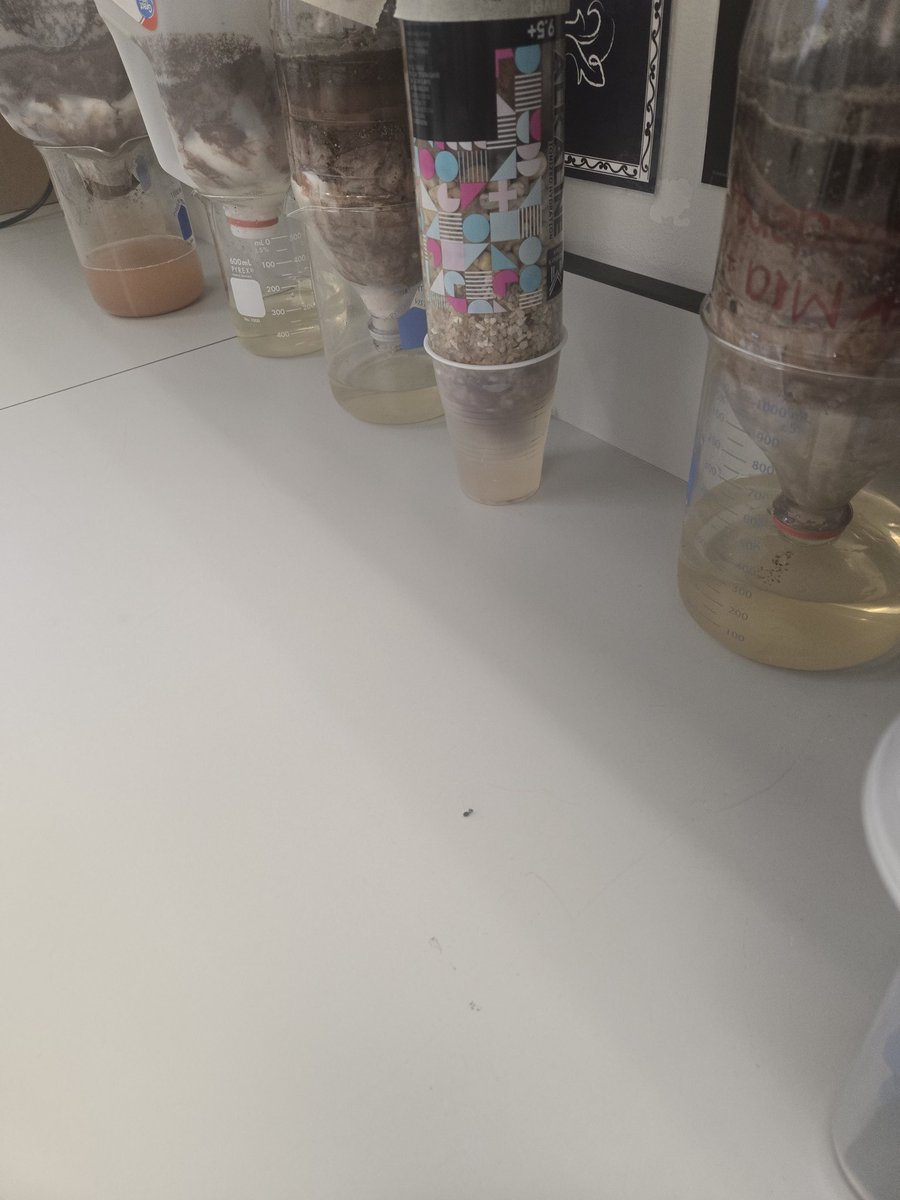 GHMS_Science8's tweet image. 8th grade @GHMS_Grizzlies science students designed, built and tested greywater filtration devices over the past week. They will finalize and conclude their results tomorrow and reflect on their work as well as think critically on next steps!
