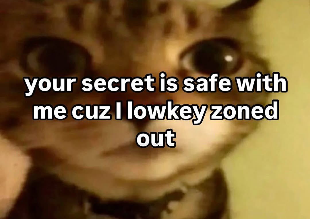 LiterallyMeCats (@literallymecats) on Twitter photo 