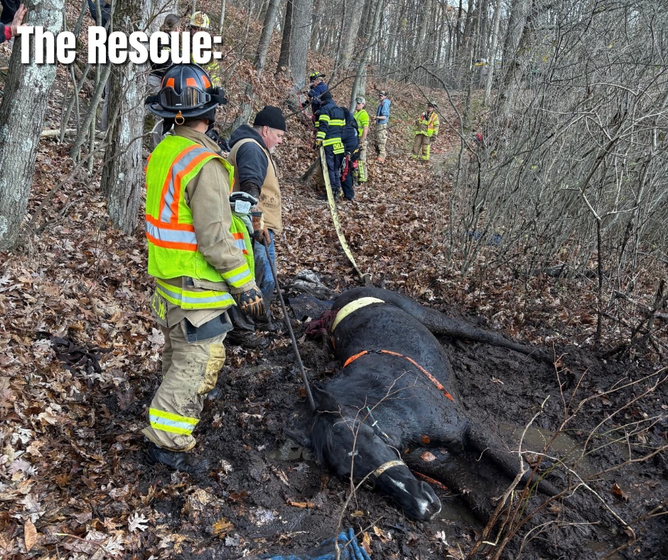 Mendon Fire tweet media