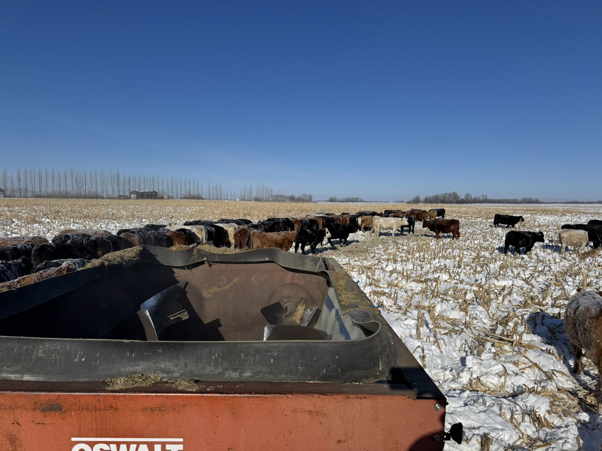 Michael Rempel tweet media