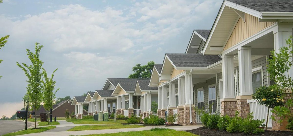 Odle McGuire Shook tweet media