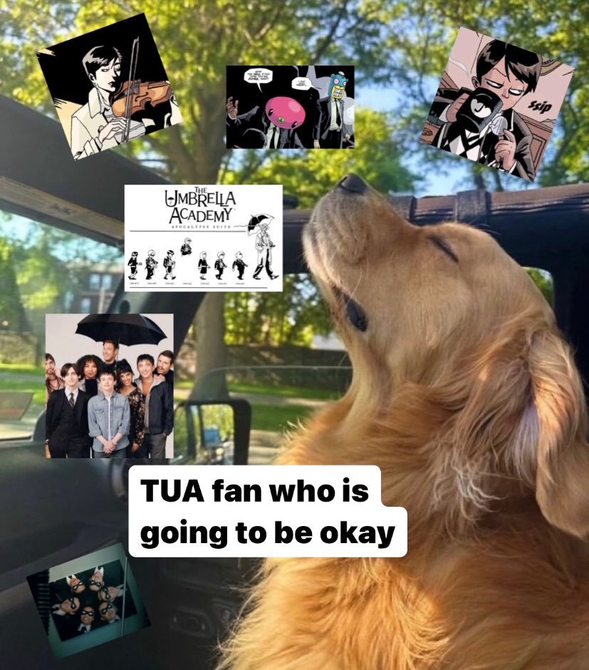 scifiscully's tweet photo. WHAT A GREAT DAY TO BE A FAN OF THE UMBRELLA ACADEMY https://t.co/TLEHmvoaCm