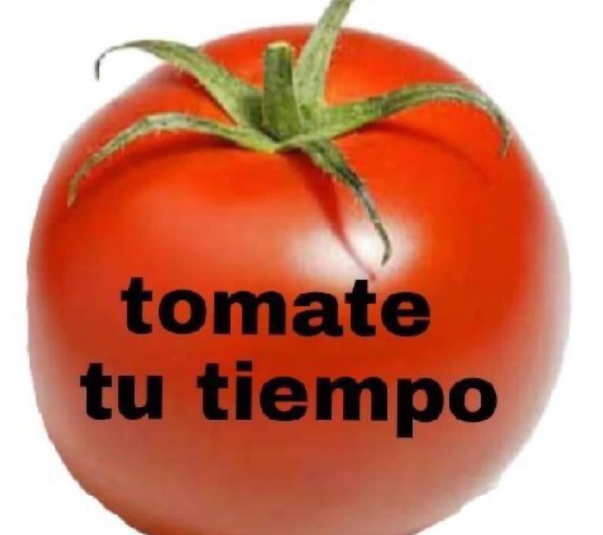 clementedaviIa's tweet photo. 🗿 https://t.co/Vvf0x3YLTZ