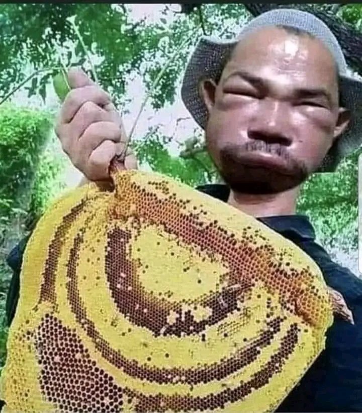 Which test do you want to certify that our Honey is pure and naturel?
#bees, #Nature, #apiculture
#Heroes_Apiculture