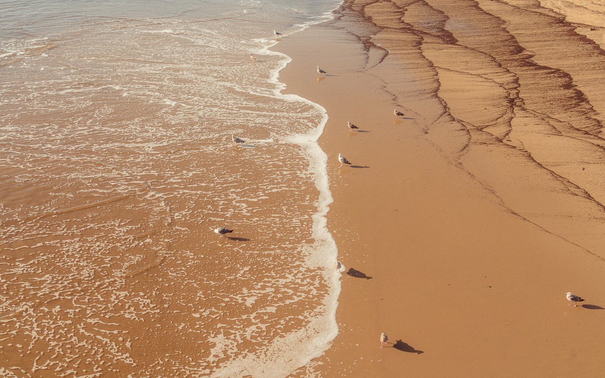 Jeff Mihaly tweet media