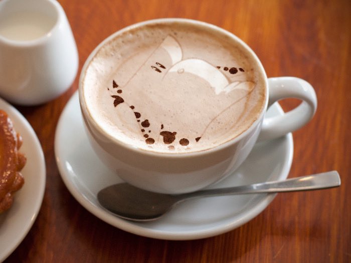 thecheatonbsc's tweet photo. gm

(good mehning) https://t.co/L66D1Fcvew