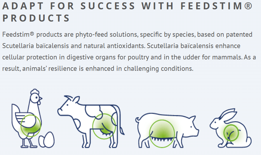 ShaneMcAuliffe1's tweet photo. Conor's first research trials will be with our colleagues from @InterchemSwine using a product from CCPA GROUP called Feedstim Sow. This product enhances cellular protection in the udder thus producing more colostrum during the lactating period. Research trials from other countries have shown many positives including an increased litter weight at weaning, reduced piglet mortality during the lactation period and a reduction in mastitis in sows. https://t.co/Ejs0ruIIVb