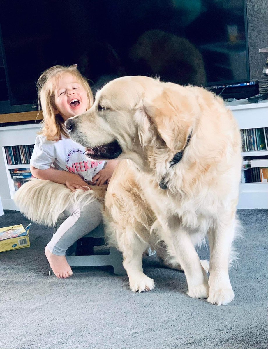 Another of my favourite photos from the past. My hoomans granddaughter Ivy laughing because I was trying to sit on her lap! Can’t see what was so funny myself but there you go!!! #goldenretrievers #dogs