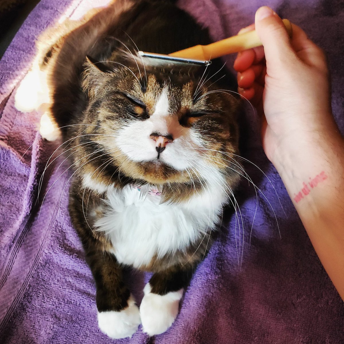 Kayce 🌞 tweet media