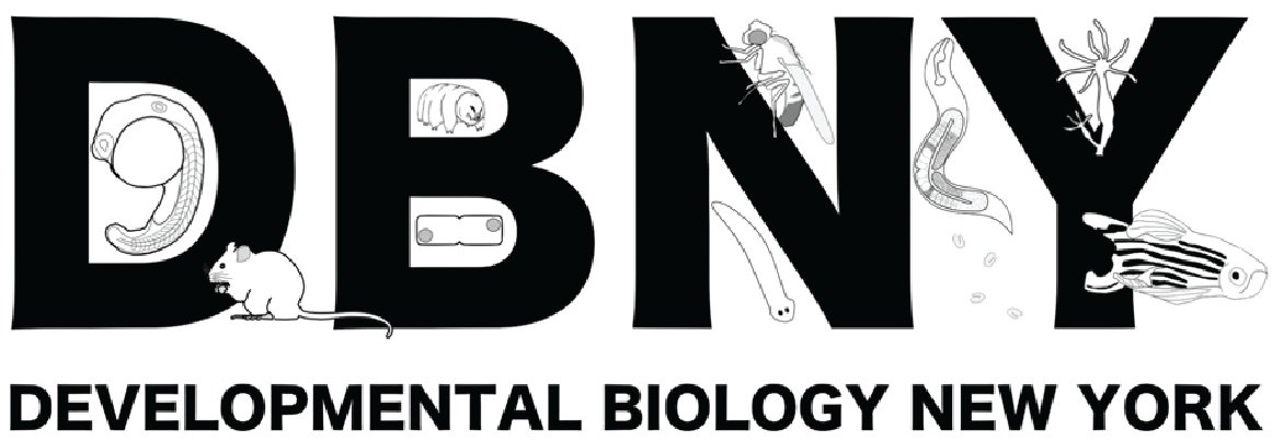 New Essay! DBNY: Reimagining the Undergraduate Research Conference. Undergrad research thrives when shared! DBNY offers a cost-free, inclusive space for students to present, network, and explore STEM careers—without the barriers of big conferences. doi.org/10.24918/cs.20…