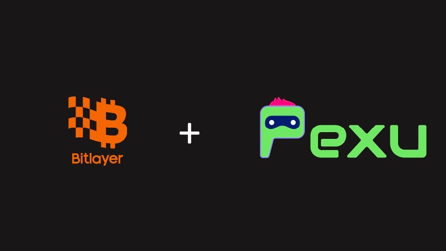 pexuai's tweet image. Big things are coming! Bitlayer and Pexu are partnering. 

@pexuai is teaming up with @BitlayerLabs to bring AI Agents and Generative AI to Bitcoin. This means:

- Bringing Generative AI &amp;amp; AI Agents
- AI-powered assets you can create, own and trade
- Expanding AI role in the…