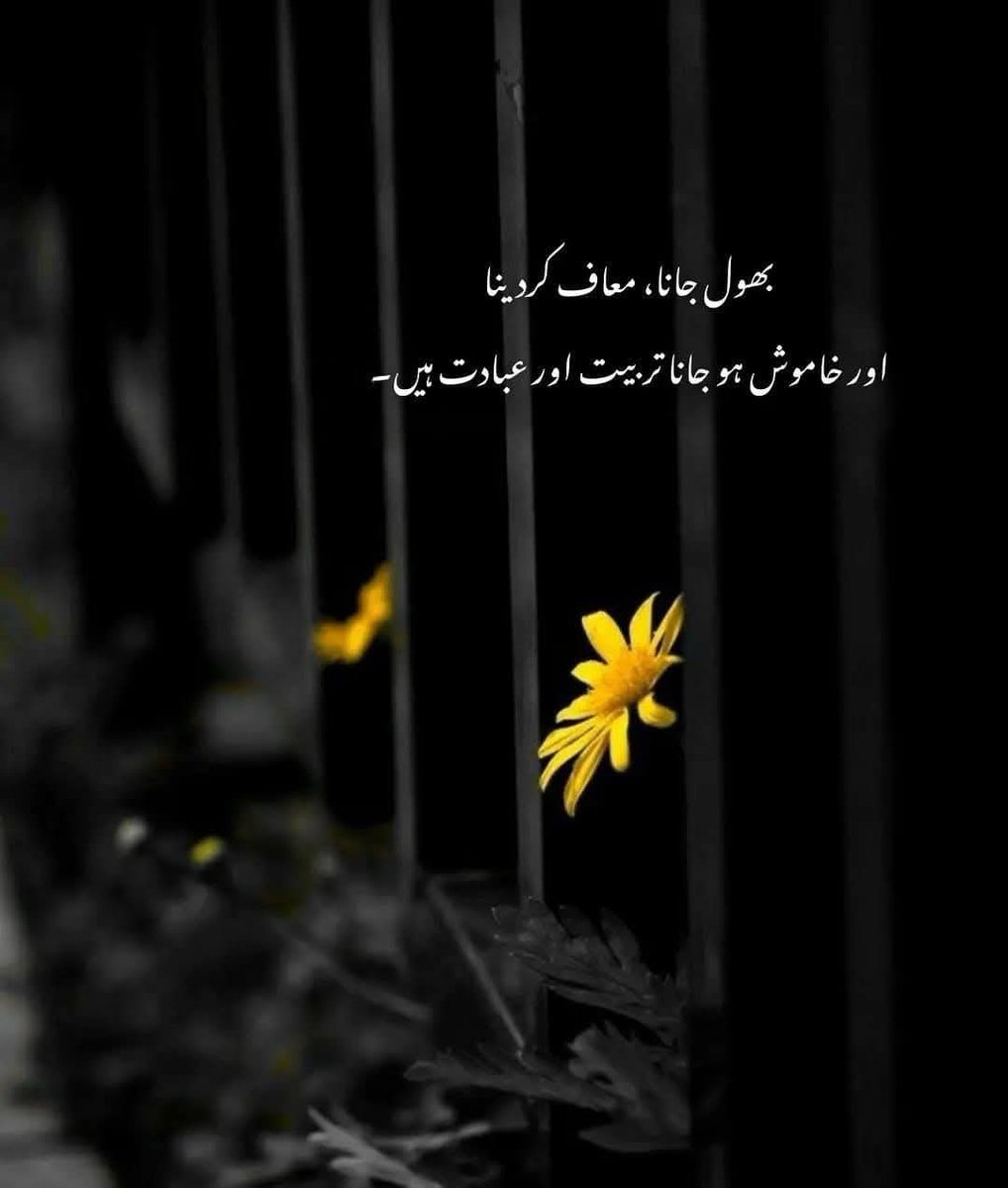 Malik Shafaqat Ali (@shafaqat19993) on Twitter photo 