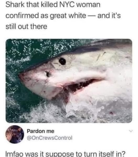 Sterling 'Diamond' Luxford (@sterlingluxford) on Twitter photo 