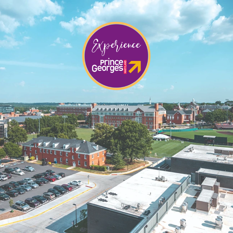 SportsPlanningGuide tweet media