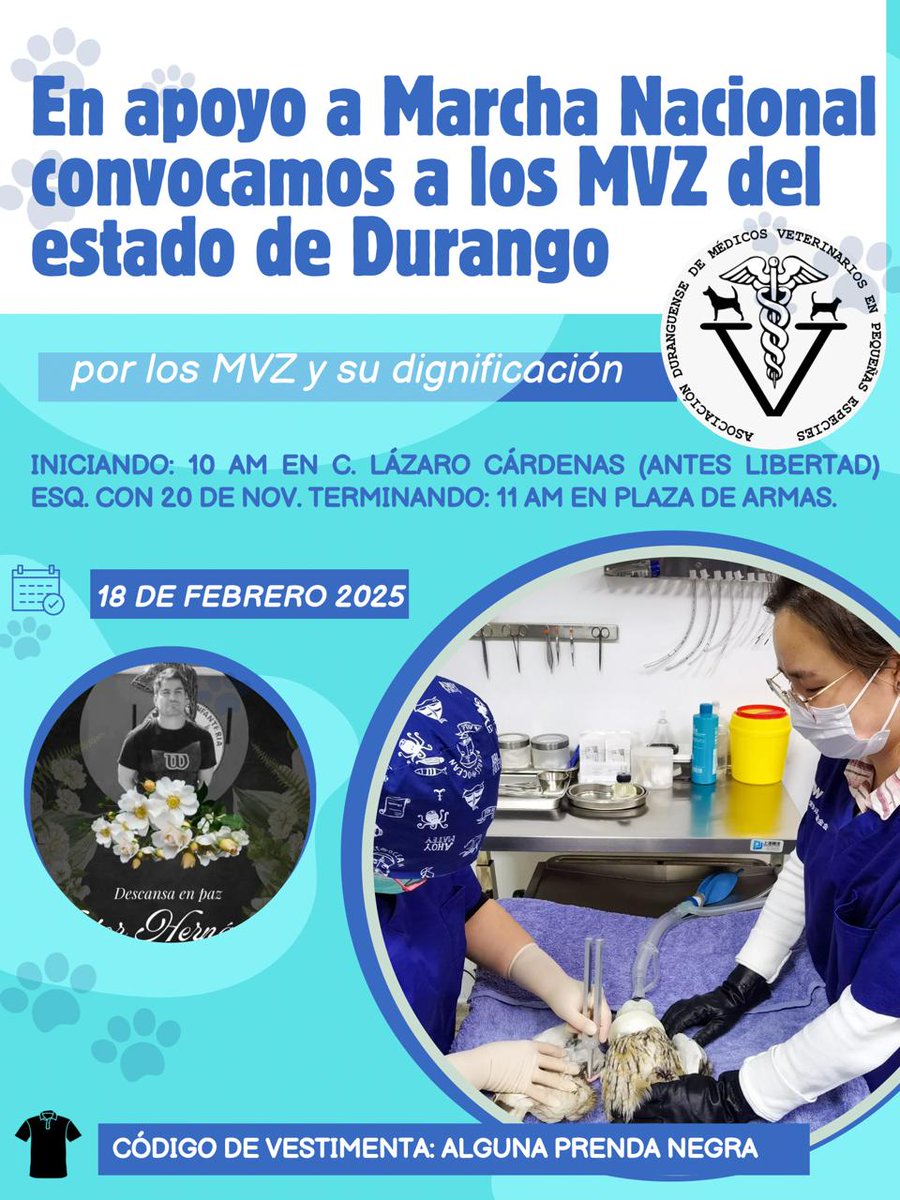 #Durango nos unimos a la marcha nacional por la dignificación de los derechos de los médicos veterinarios.

✅ Este martes 18 te invitamos a la marcha pacífica a las 10:00 am. Iniciando en la esquina de la avenida Lázaro Cárdenas y 20 de Noviembre en la capital de Durango.