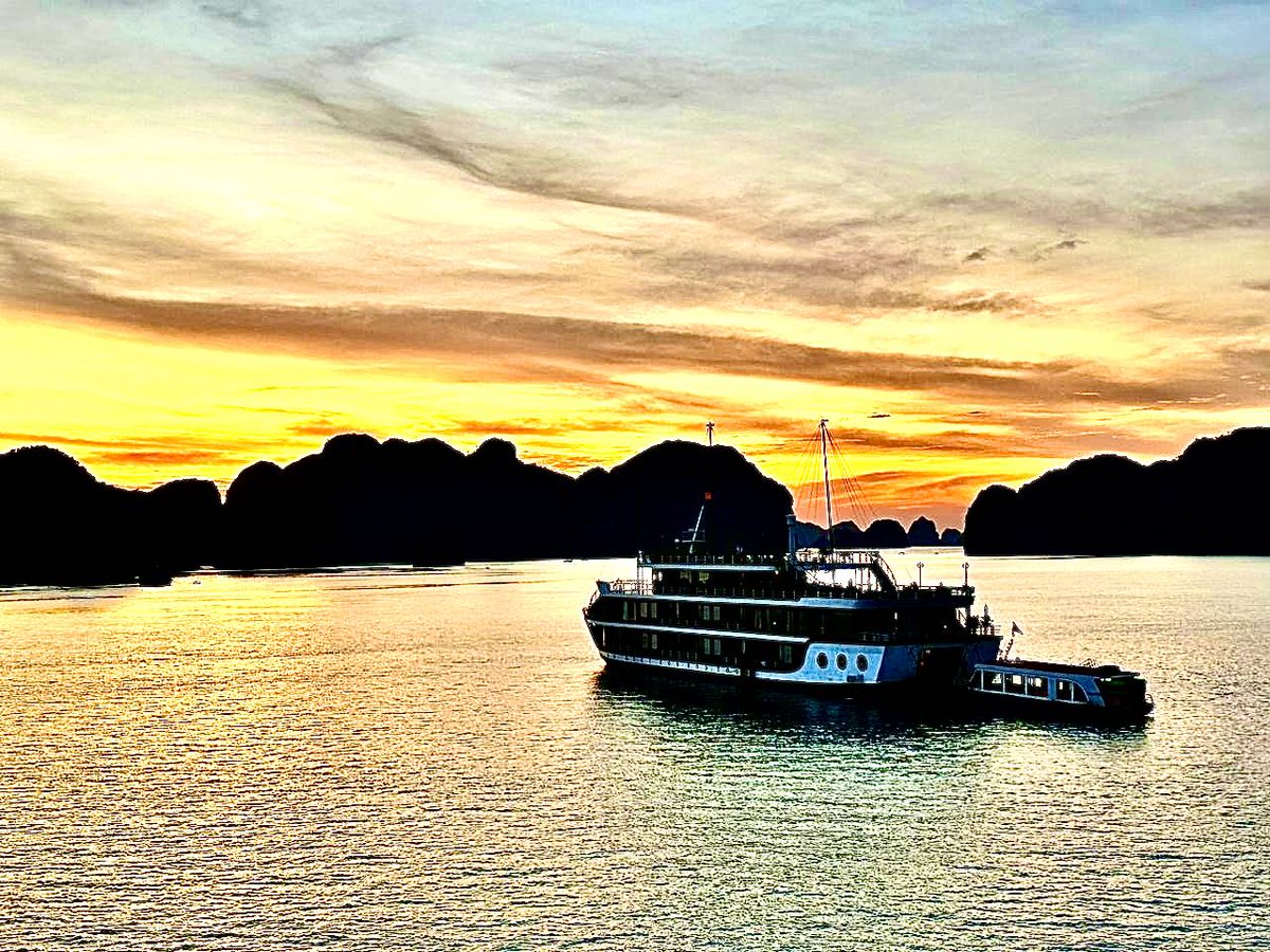 Dr. Ulf Th Zierau tweet media