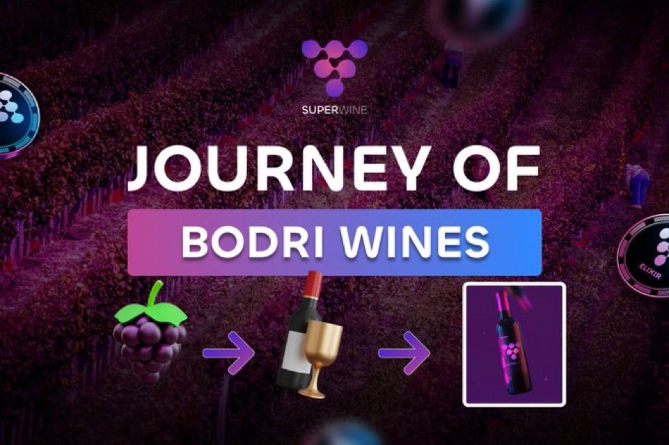 From vineyard to blockchain: the evolution of Bodri wines 🥂

SuperWine transforms traditional wines into NFTs, creating a unique digital asset for your wallet:

Grapes from southern Hungary
↓
Winemaking and aging
↓
Blockchain recording of wine details and NFT creation
↓
NFT