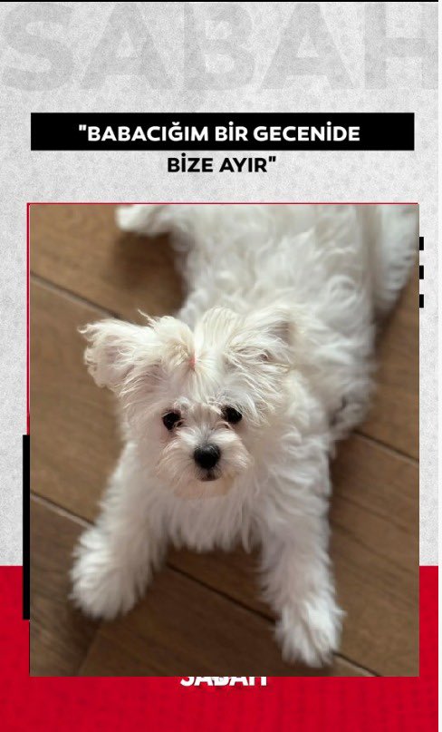 kegrimin yayın işinin pokunu çıkarması 💜